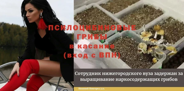 стафф Няндома